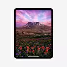 iPad Pro 13" (M4, 2024), Wi-Fi + Cellular, 2 Тб, серебристый