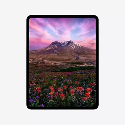 iPad Pro 13" (M4, 2024), Wi-Fi, 512 Гб, серебристый