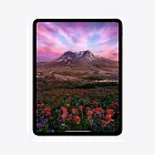 iPad Pro 13" (M4, 2024), Wi-Fi, 1 Тб, нанотекстурное стекло, серебристый