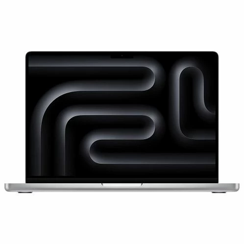 Apple MacBook Pro 14" (M4 10C CPU, 10C GPU, 2024) 16 ГБ, 1 ТБ SSD, серебристый