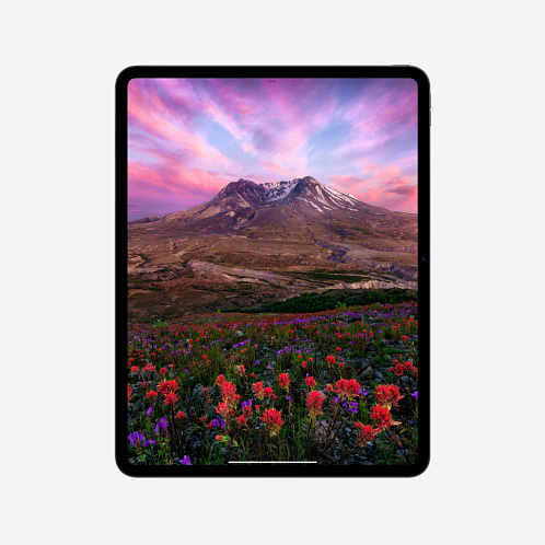 iPad Pro 13" (M4, 2024), Wi-Fi + Cellular, 2 Тб, серебристый